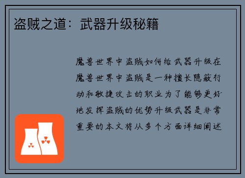 盗贼之道：武器升级秘籍