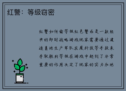 红警：等级窃密
